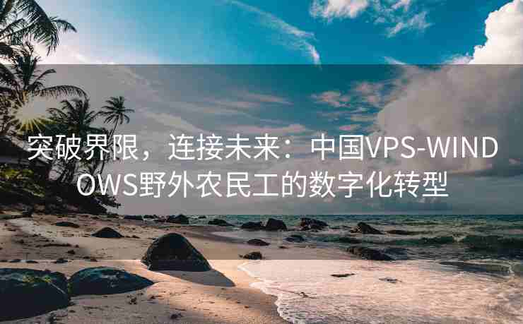 突破界限，连接未来：中国VPS-WINDOWS野外农民工的数字化转型