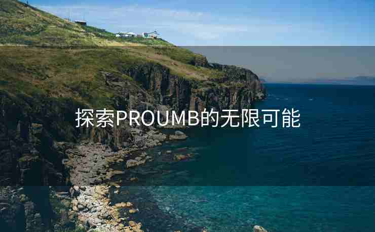 探索PROUMB的无限可能
