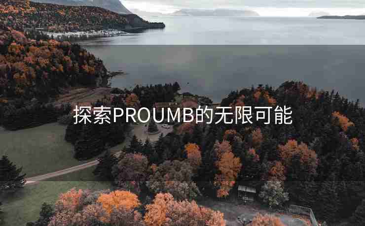 探索PROUMB的无限可能